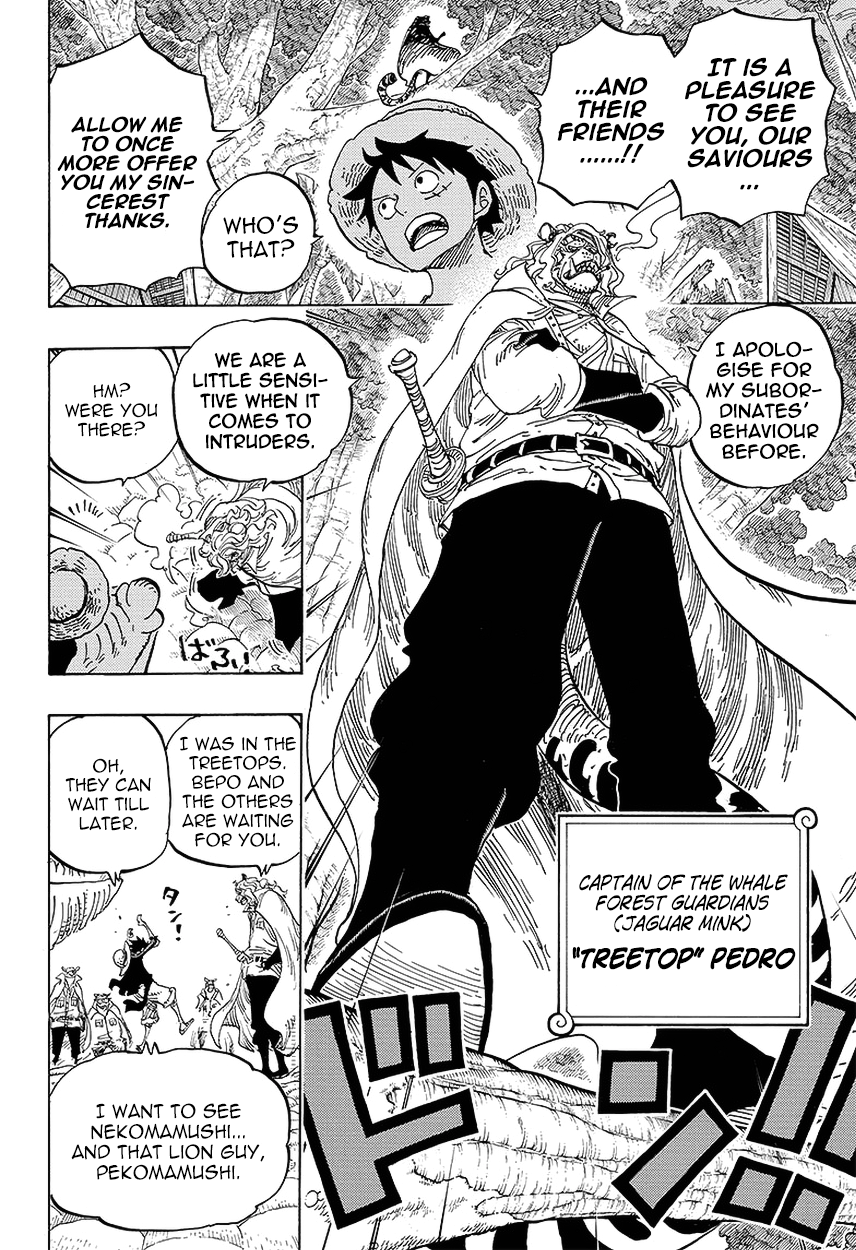 One Piece, Chapter 814 image 12